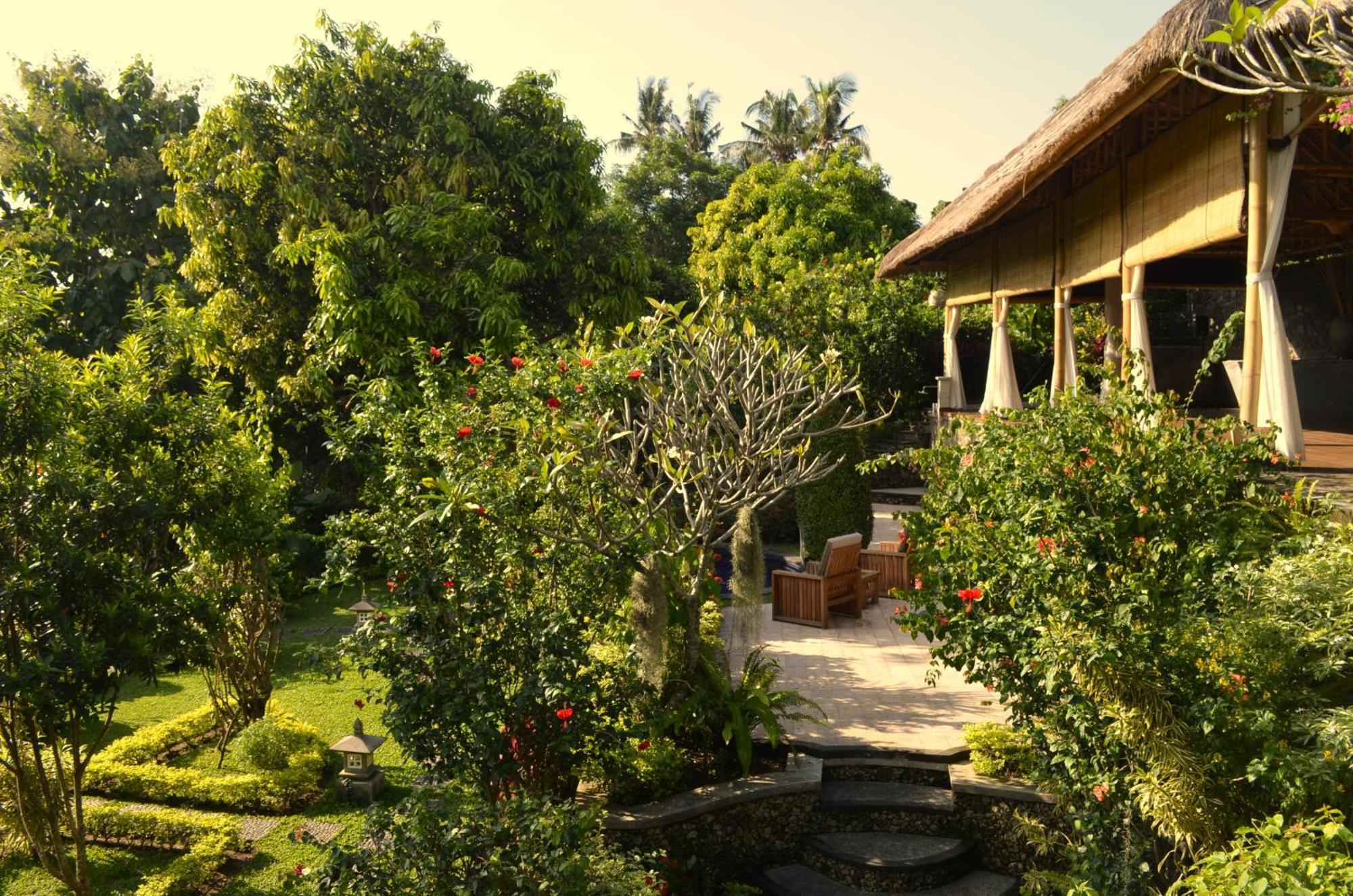 Alamanda Lovina Resort Exteriér fotografie